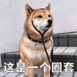 8a80e8f66a2a9c2d563f5c410e599930.png