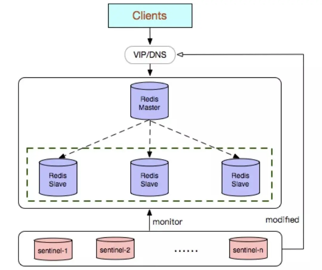webp