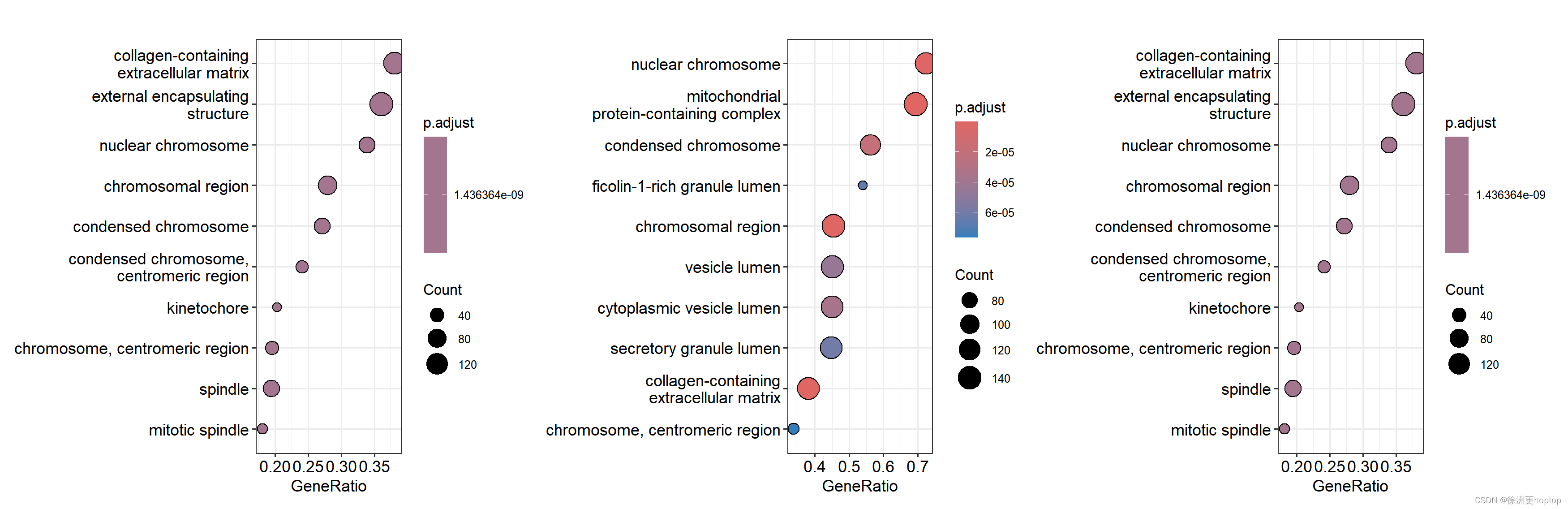 不同排序的结果