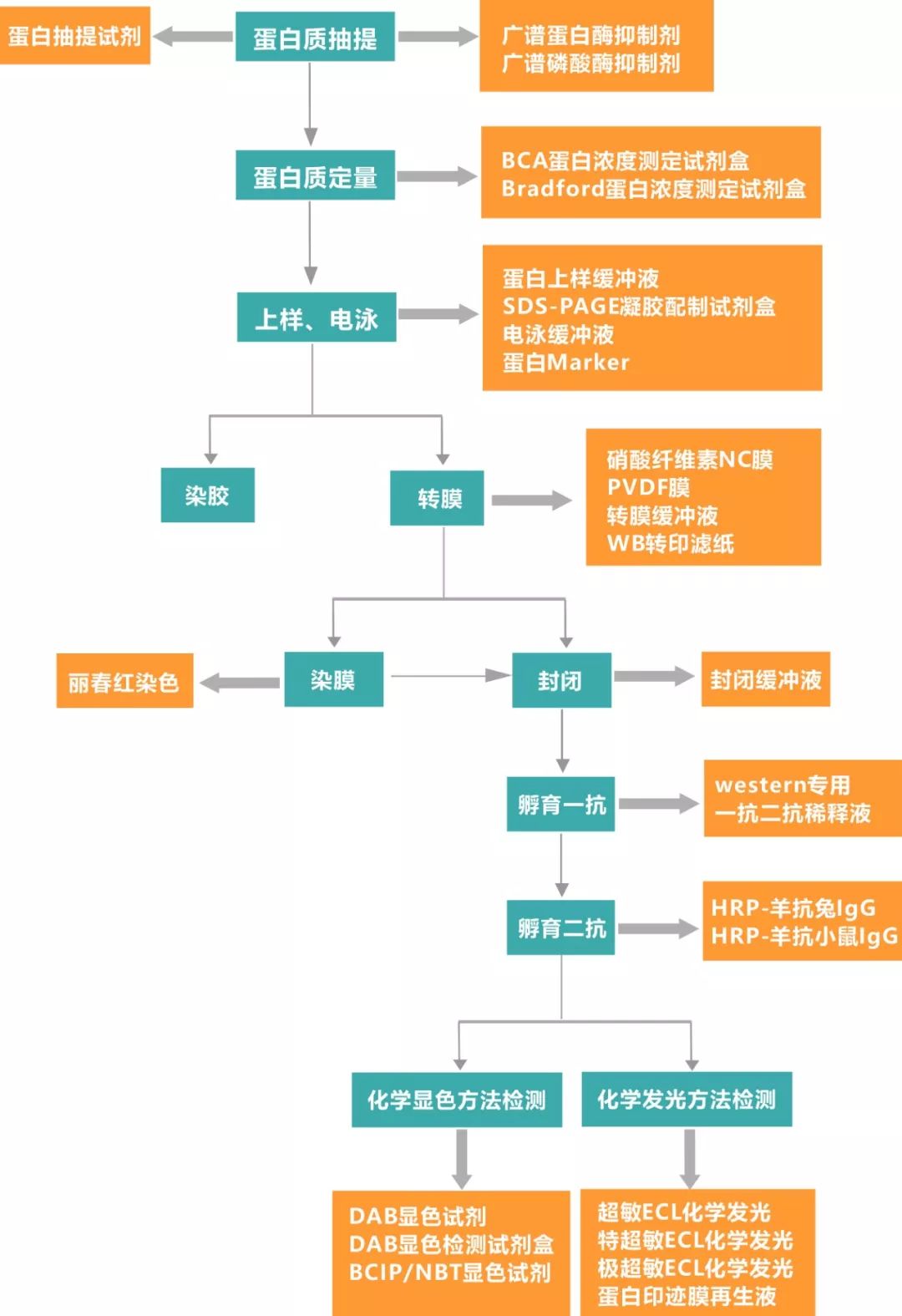 452a2cf18b2b59250c288a03a03f4413.png