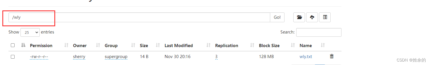 能看见已经上传到了/wly文件目录