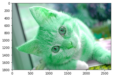 img_ce2edbd2722c1b0039aa71849ead1c71.png