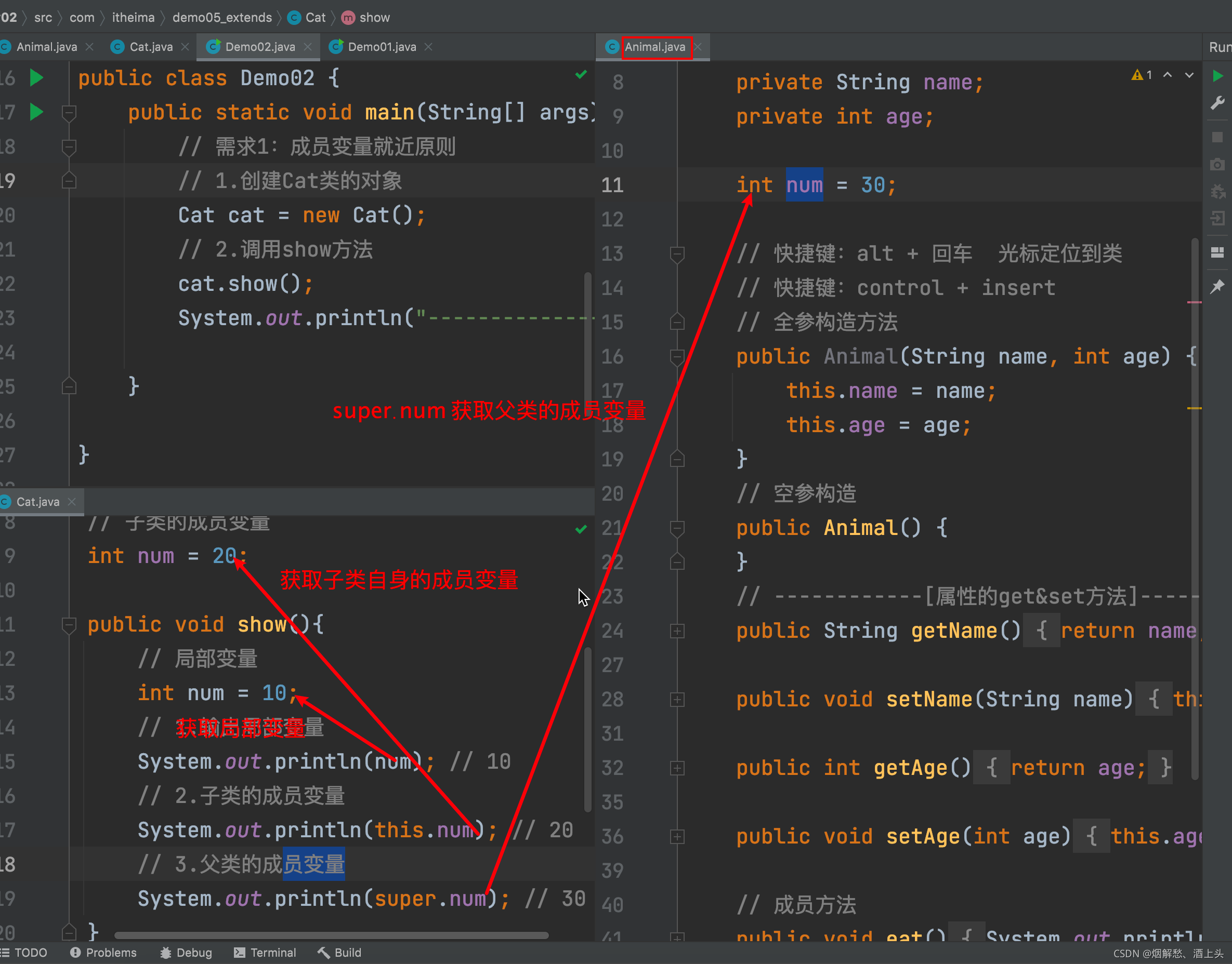 成员变量--就近原则