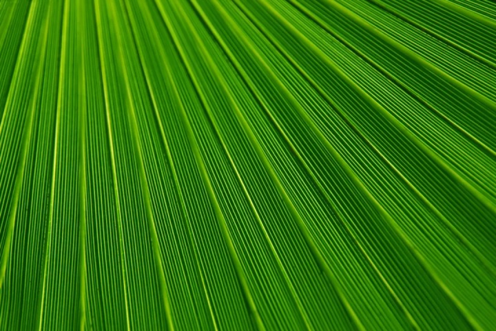 fa3b8de31a184ccc06bd4d75281f0c8b.png