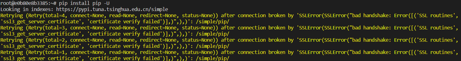 image-20220607160649557