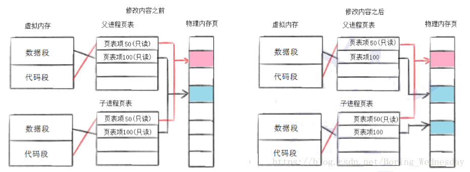 父子进程数据段说明