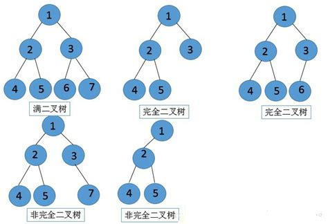 数据结构11.二叉树_Aemonair's 世界树．-优快云博客