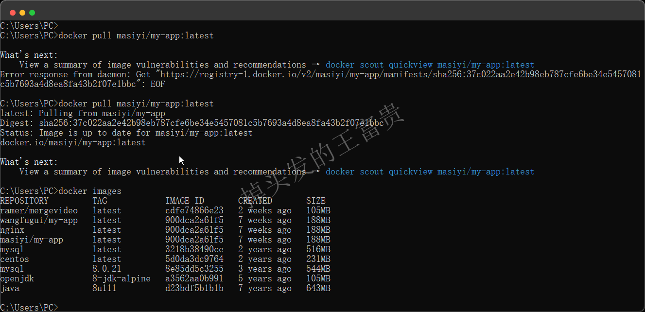 image-20240815201806719