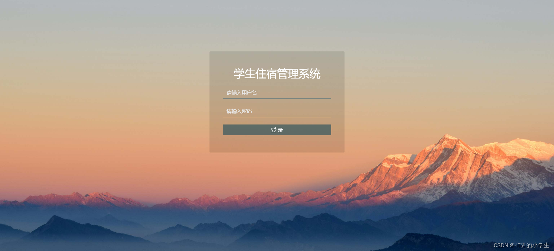 在这里插入图片描述