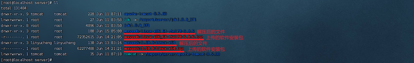 image-20230615200555737