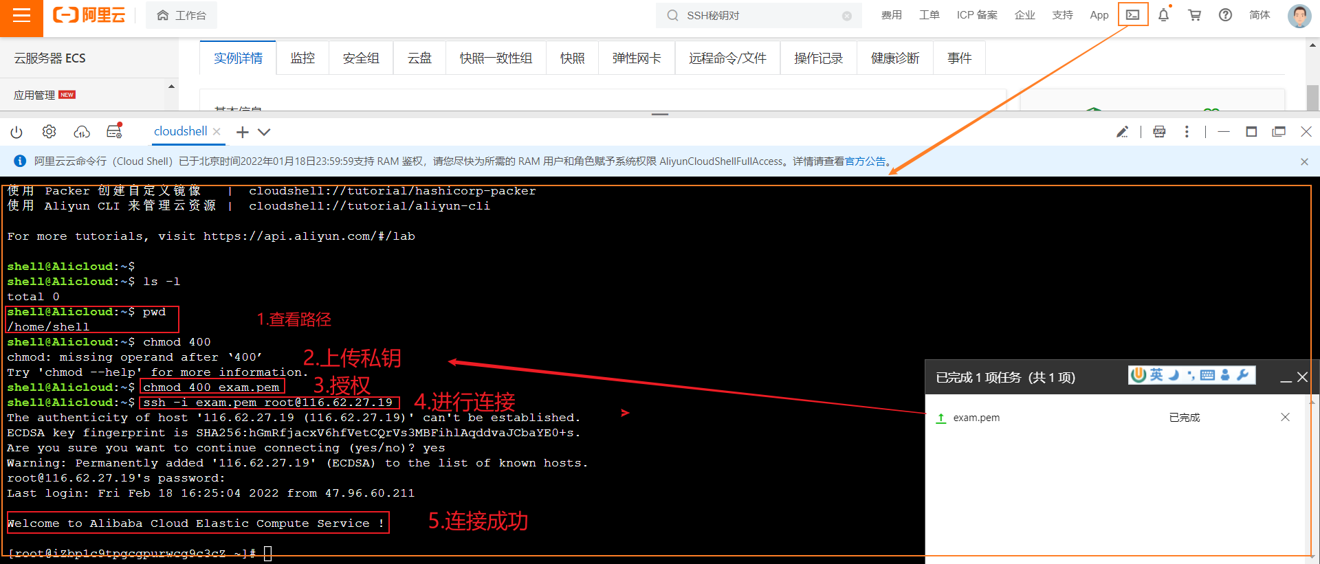 image-20220218165812481