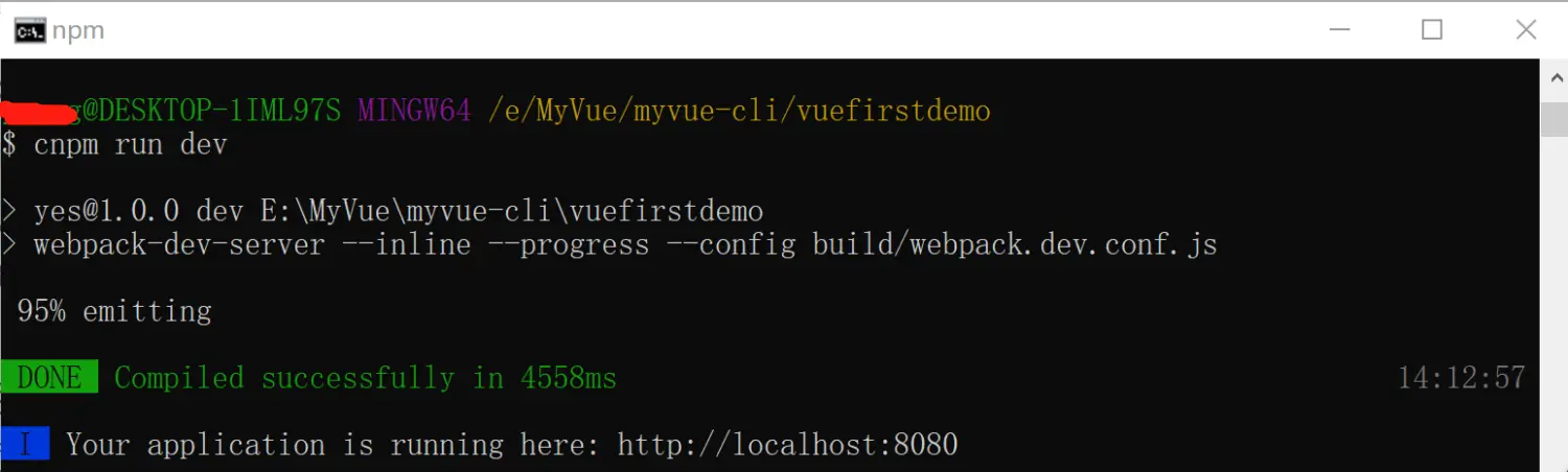 cnpm run dev.png