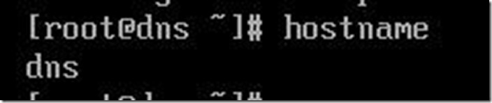clip_p_w_picpath003