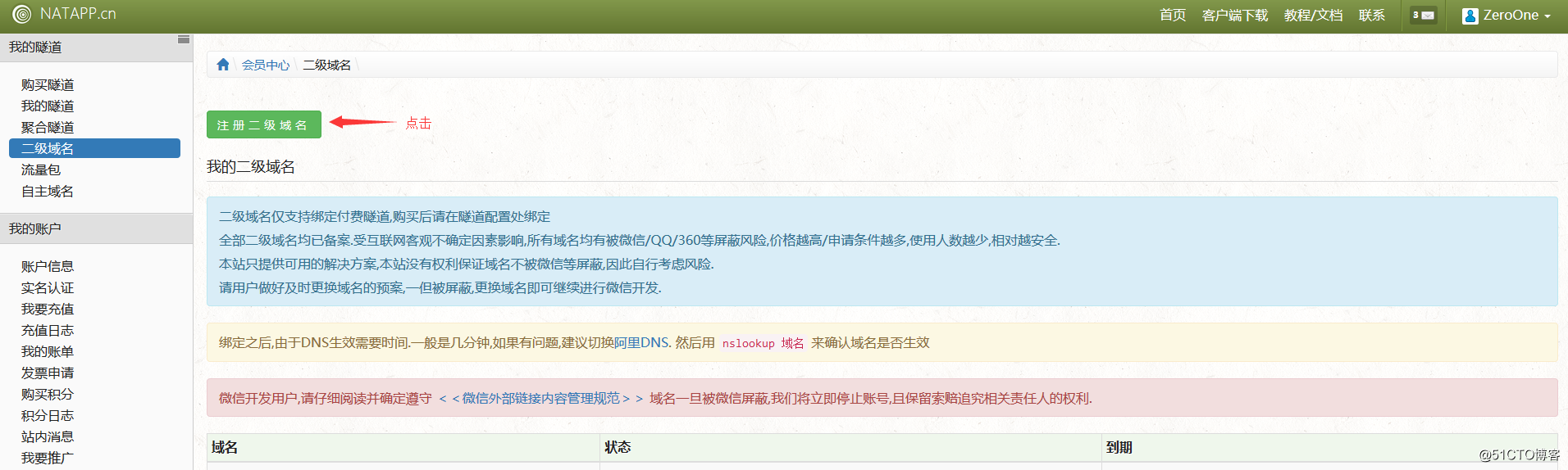 使用natapp开启内网穿透之旅