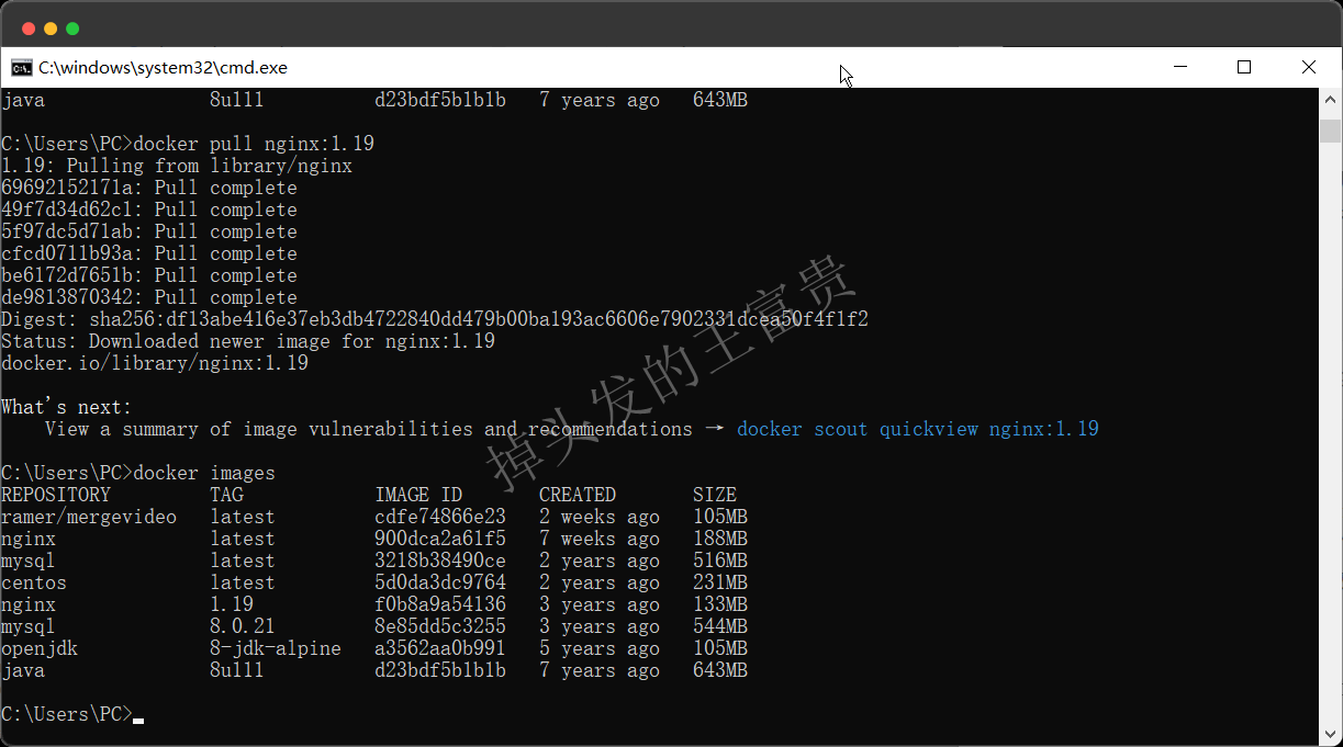 image-20240815194631333