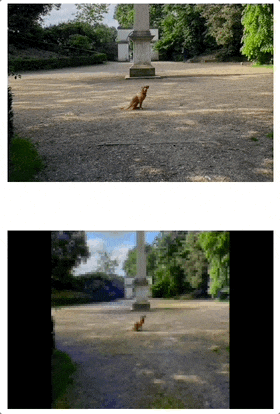 60c666868a1bf17c55f49cb940d21fd3.gif