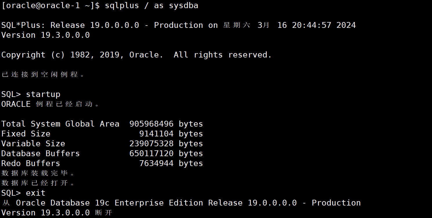 Oracle19c静默部署插图39 image-20240316204618100