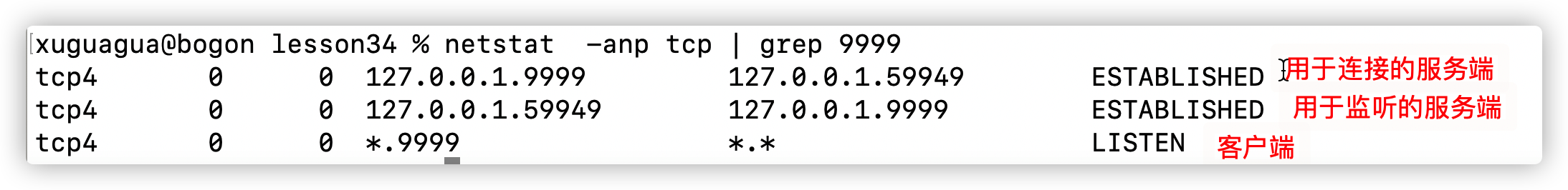 image-20211201125538905