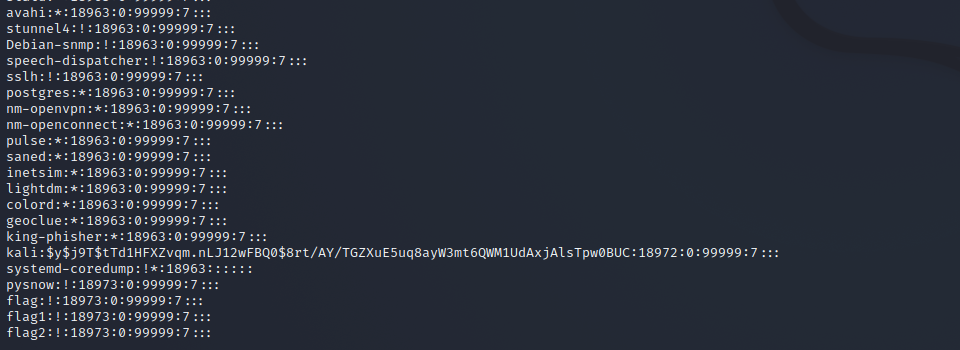 image-20211213024205048