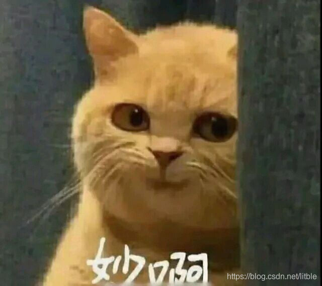 喵啊