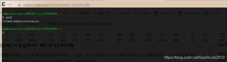 Cygwin 命令行终端