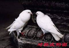 十三种摄影构图技法 教你拍出专业化照片