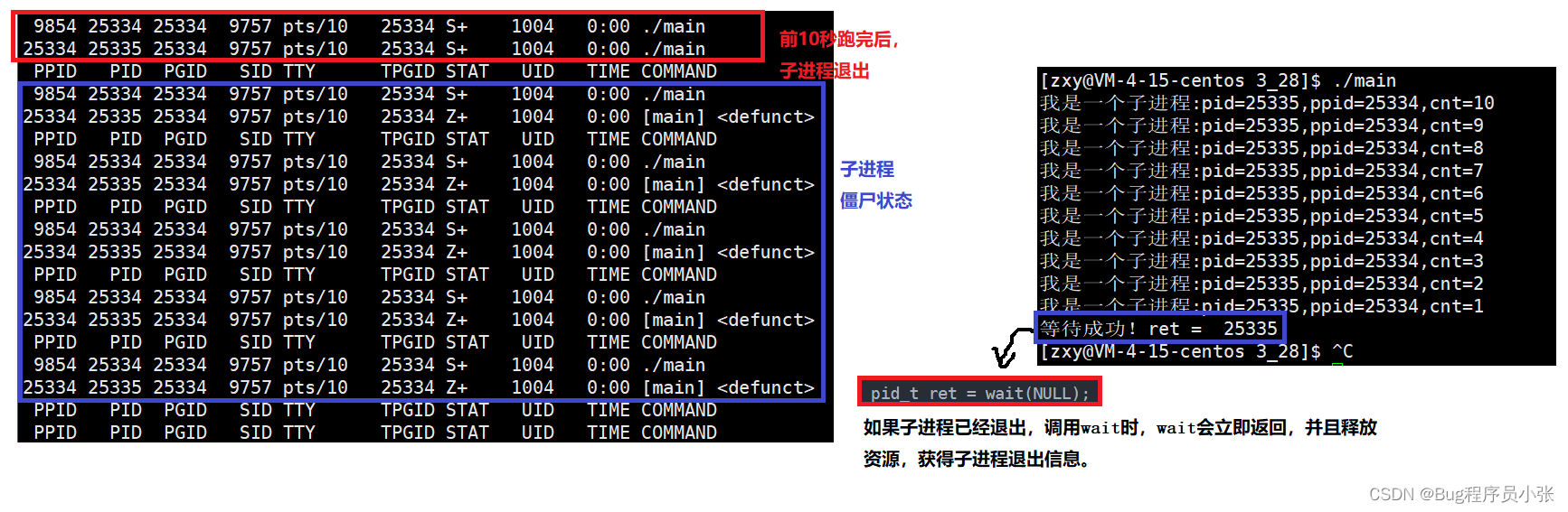 Linux---进程控制_execvpe-CSDN博客