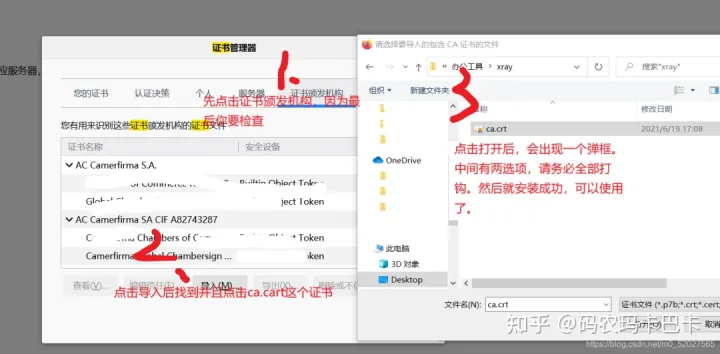 工具Xray的安装，入门的使用方法