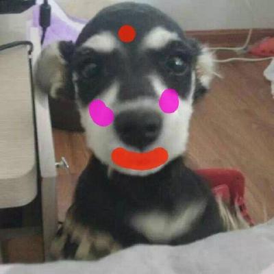 图标