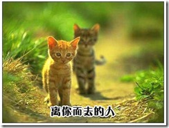 bbs.itjmz.com__34_229674_163f9cb5caf7d37