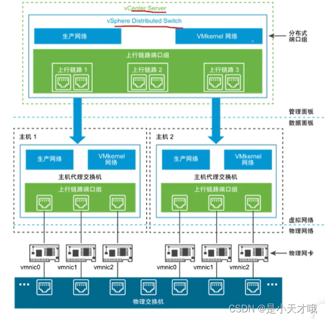 vSphere网络架构详解:物理网络、虚拟交换机与分布式网络配置,-CSDN博客