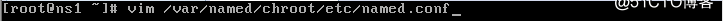 linux DNS域名解析服务
