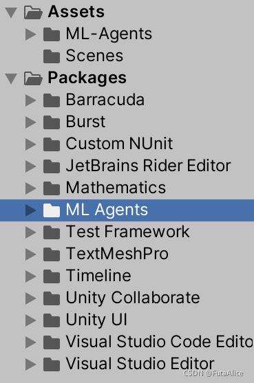 images/roller-ball-projects.png