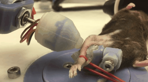 f5319e3ded6fbc214273da8c0d0b039b.gif