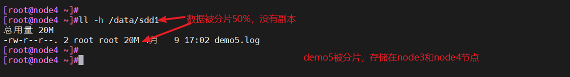 image-20240409172546474