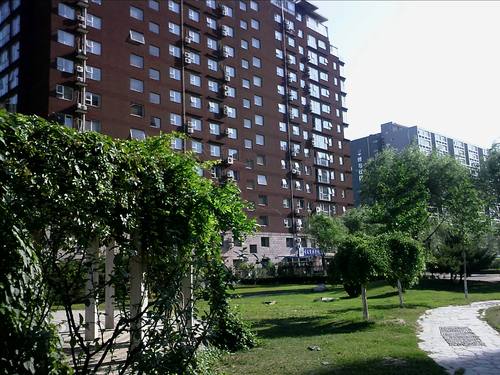 WinCE6.0双雄 酷派N900/魅族M8对比评测