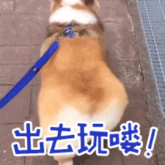 1619483efe021a77e3ac6c1098549788.gif