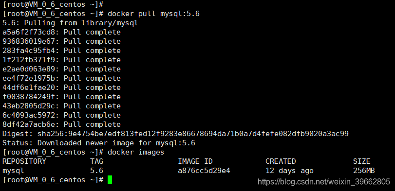 docker mysql镜像