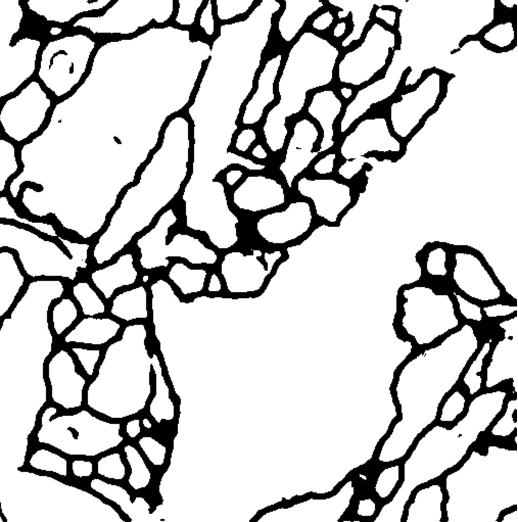 635463c59532b7f28aecb189f51349b9.png
