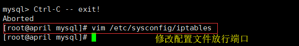修改配置文件