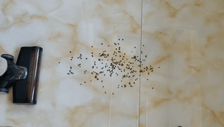 49462ddb03f87d98bf3d7cf341592946.png