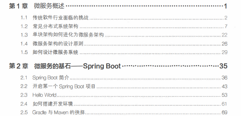 看了这本微服务的PDF再去面试阿里,中间件面试官当场让我上班