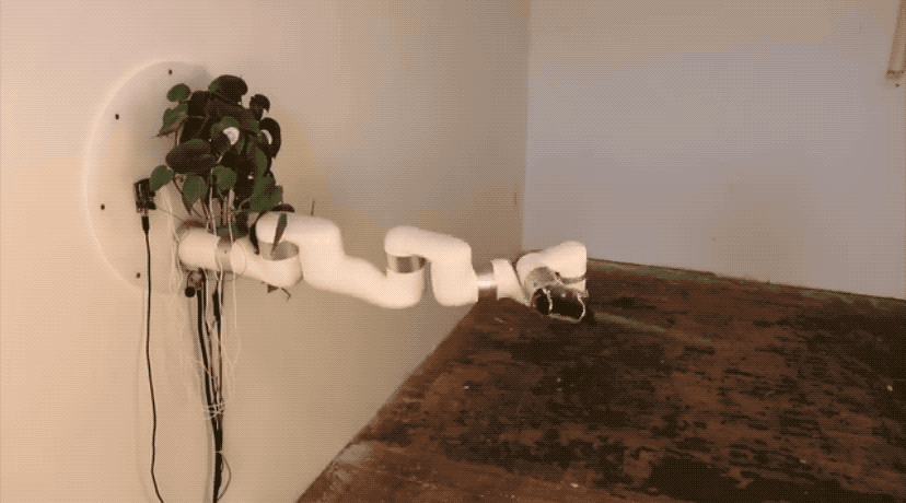 21421aa9da8563e1891a354e28a65e40.gif