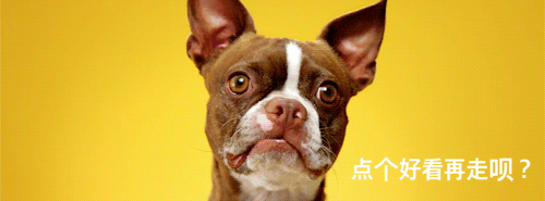 84d81ce346a3ccf76f900b7d844c4fc3.gif