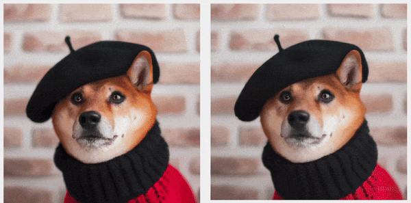 d475039cae3a1e13985a57a9cbad23f1.gif