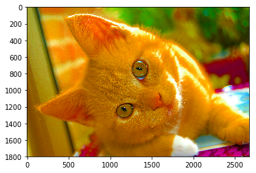 img_7c5f92e6e49cf5f7681a511271116ac2.png