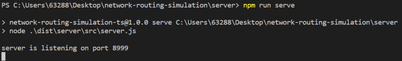 run server