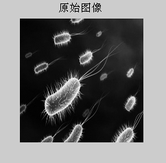 v2-e089defdae9d2cb34f34e0f898143588_b.jpg